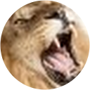 Maria B profile picture